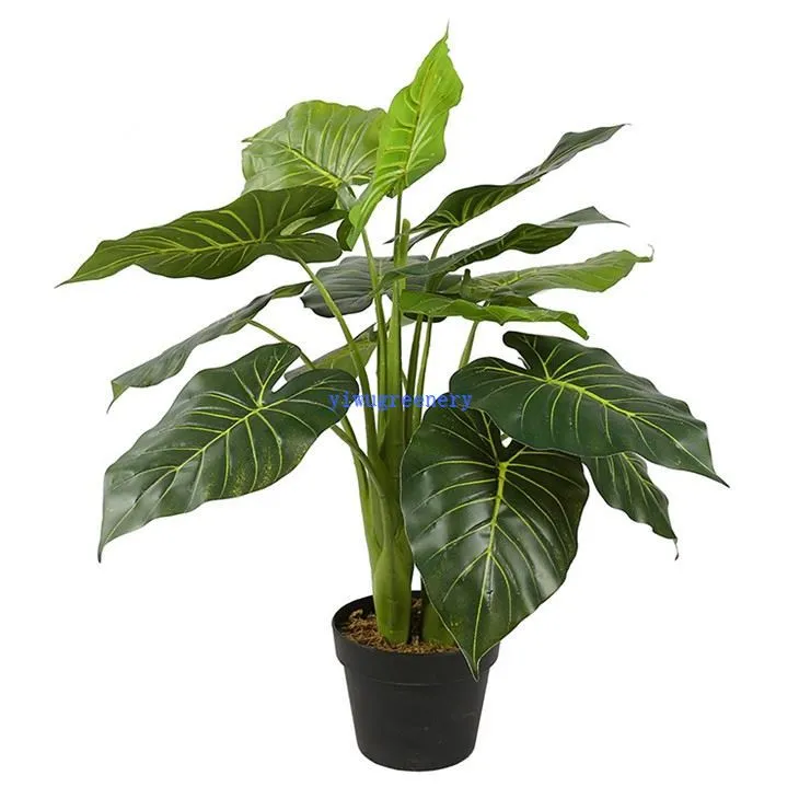 alocasia artificial