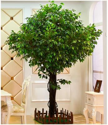 Care este metoda de a face simulare arborele banyan
