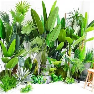 Bananer artificial Musa