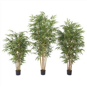 Plante de bambus false pentru exterior